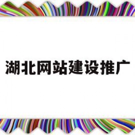 湖北网站建设推广(湖北网络地方推广与营销)