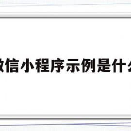 微信小程序示例是什么(微信小程序示例是什么软件)