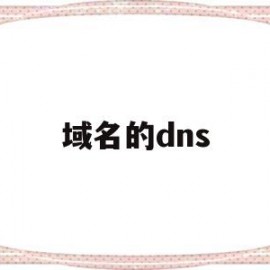 域名的dns(域名的dns是什么意思)