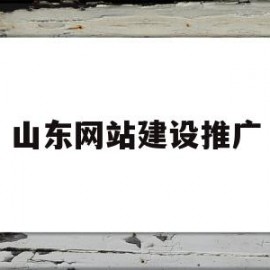 山东网站建设推广(山东知名网站建设平台)