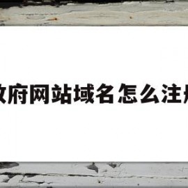政府网站域名怎么注册(政府网站域名怎么注册账号)