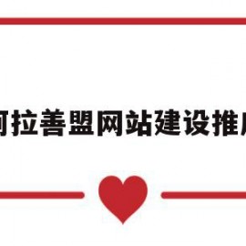 阿拉善盟网站建设推广(外贸网站建设和推广)