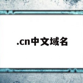 .cn中文域名(0mag中文域名)