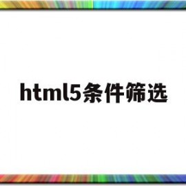 html5条件筛选(html条件选择语句)