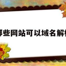 哪些网站可以域名解析(能实现域名解析的功能软件模块)