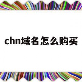 chn域名怎么购买的简单介绍