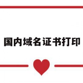 国内域名证书打印(域名证书有纸质版吗)