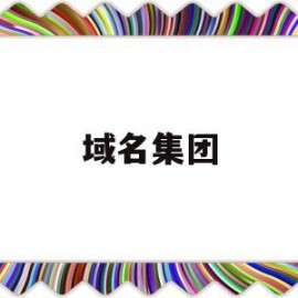 域名集团(域名科技)