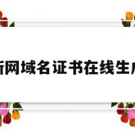 新网域名证书在线生成(新网域名证书查询)