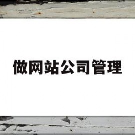 做网站公司管理(做网站的公司企业)