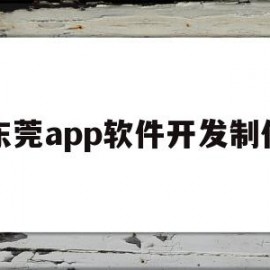 东莞app软件开发制作(东莞app软件开发制作招聘信息)