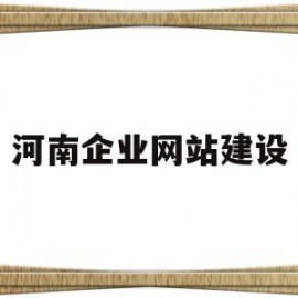 河南企业网站建设(企业网站建设的基本流程)