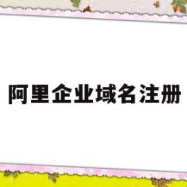 阿里企业域名注册(阿里云企业域名注册)
