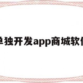 单独开发app商城软件(开发一款商城app软件需要多少钱)