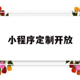 小程序定制开放(微信小程序定制开发需要多少钱)