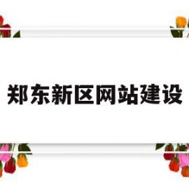 郑东新区网站建设(郑东新区基层政务公开)