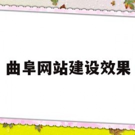 曲阜网站建设效果(山东网站建设的方案)