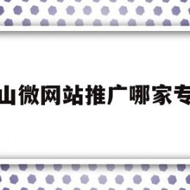 佛山微网站推广哪家专业的简单介绍