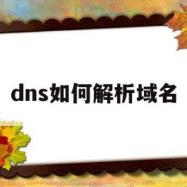 dns如何解析域名(dns怎么解析域名的)