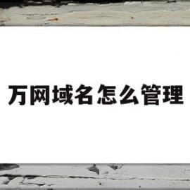 万网域名怎么管理(万网域名管理平台登录)