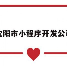 沈阳市小程序开发公司(沈阳微信小程序开发需要多少钱)