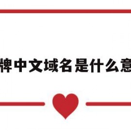 品牌中文域名是什么意思(品牌的中文)