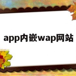 app内嵌wap网站(android 内嵌网页)