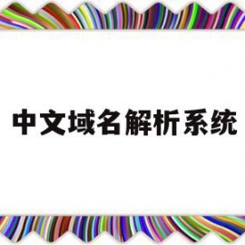 中文域名解析系统(中文域名解析系统网站)