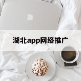 湖北app网络推广(湖北app网络推广公司)