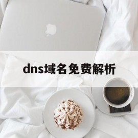 dns域名免费解析(dns域名解析服务器)
