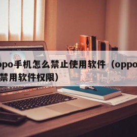 oppo手机怎么禁止使用软件（oppo怎么禁用软件权限）