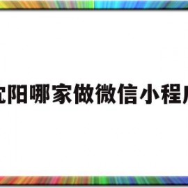 沈阳哪家做微信小程序(沈阳微信小程序怎么制作)