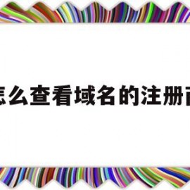 怎么查看域名的注册商(怎么查看域名的注册商品)
