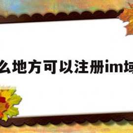 什么地方可以注册im域名(常见可以注册域名的网站有哪些)