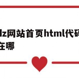 dz网站首页html代码在哪(网址html)