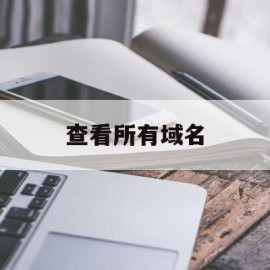 查看所有域名(查看域名对应ip)