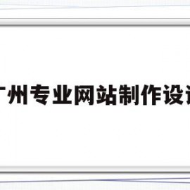 广州专业网站制作设计(广州专业网站制作设计公司排名)