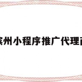 滨州小程序推广代理商(做小程序推广的公司都有哪些)