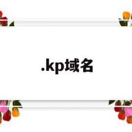 .kp域名(kp域名注册)