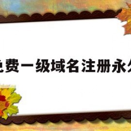 免费一级域名注册永久(免费一级域名分发系统)