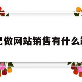 自己做网站销售有什么缺点(自己做网站销售有什么缺点和不足)