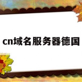 cn域名服务器德国(域名 服务器)