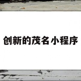 创新的茂名小程序(茂名创卫最新情况)