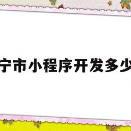 西宁市小程序开发多少钱(开发一个小程序大概多少钱)