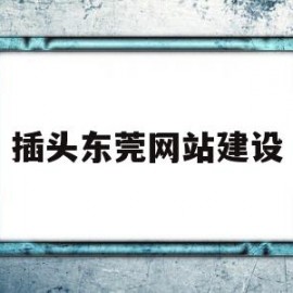 插头东莞网站建设(广东插头)