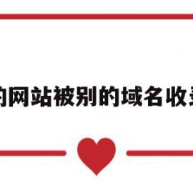 我的网站被别的域名收录了(我的网站被别的域名收录了怎么回事)