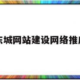 东城网站建设网络推广(北京专业网站建设网站推广)