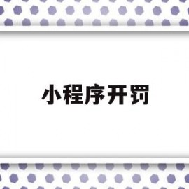 小程序开罚(小程序交罚款)