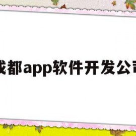 成都app软件开发公司(成都app开发公司排行十强)