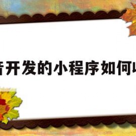 抖音开发的小程序如何收费(抖音开发的小程序如何收费呢)